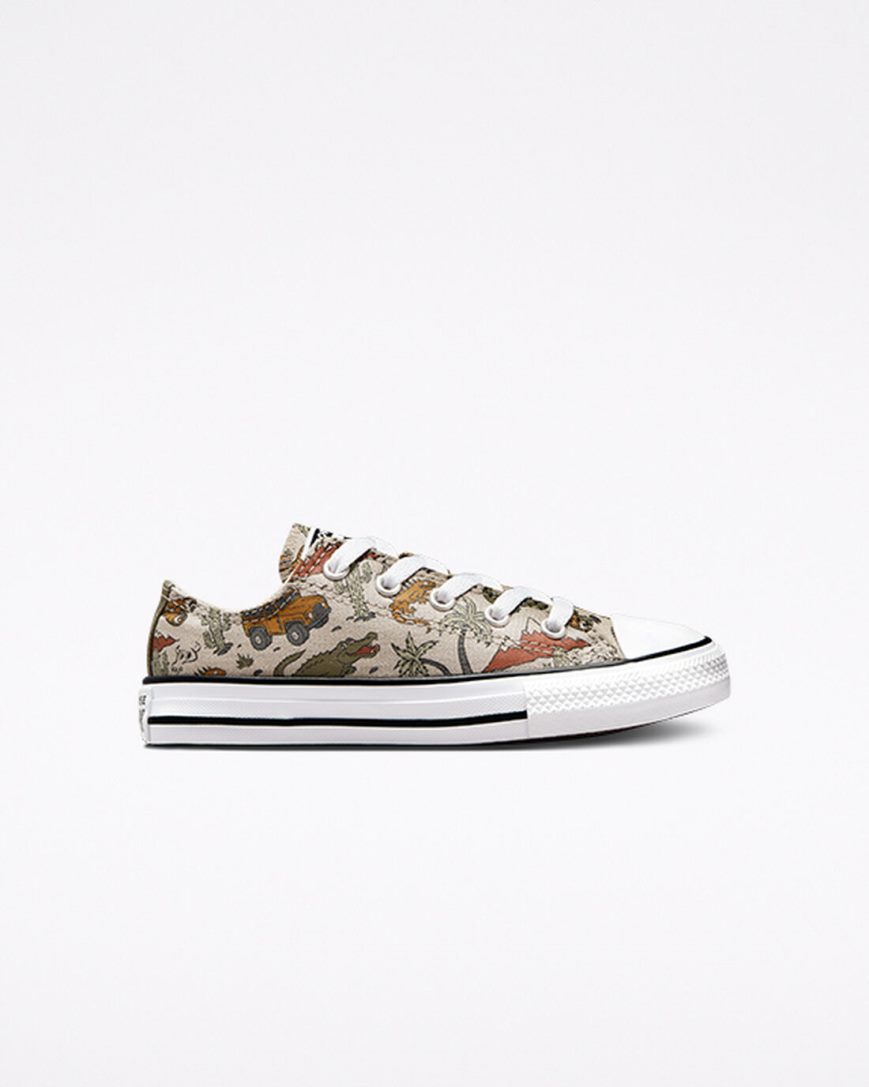 Tenisi Baieti Converse Chuck Taylor All Star Desert Explorer Bej | RO VOFJR196